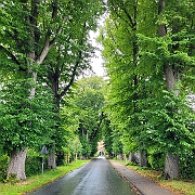 IMG-20230723-WA0009