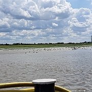 IMG-20230725-WA0000