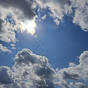 IMG-20230725-WA0004