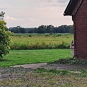 IMG-20230725-WA0006