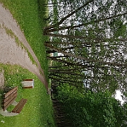 20220608 155614
